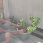 IMG-20260614-WA0042